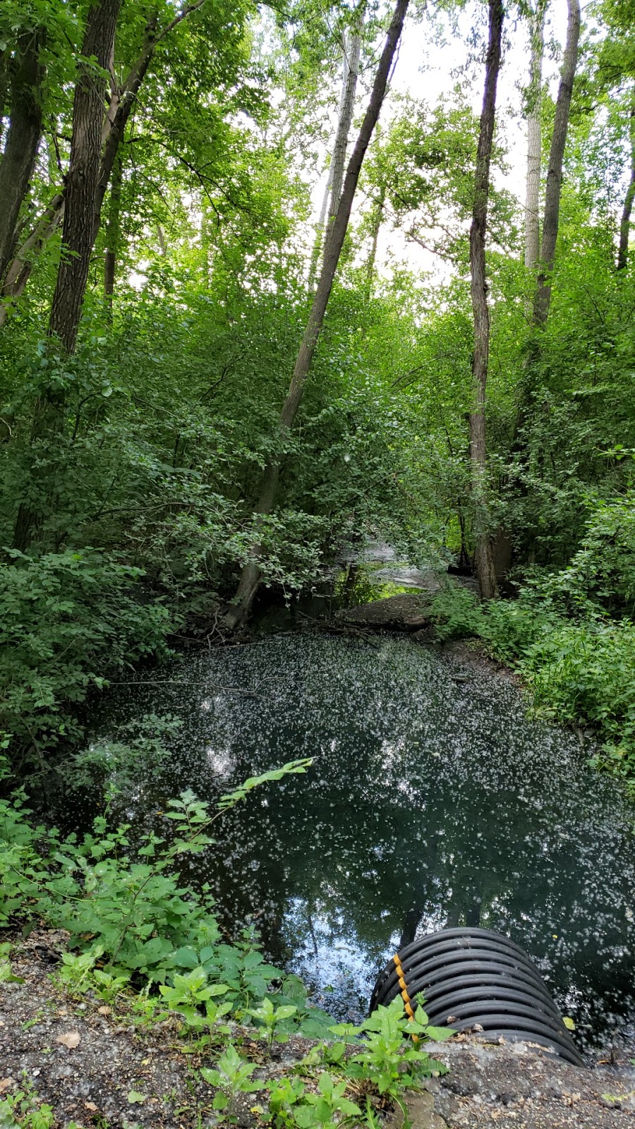 Parkside Park | 700 99th Ave NW, Coon Rapids, MN 55433, USA | Phone: (763) 755-2880