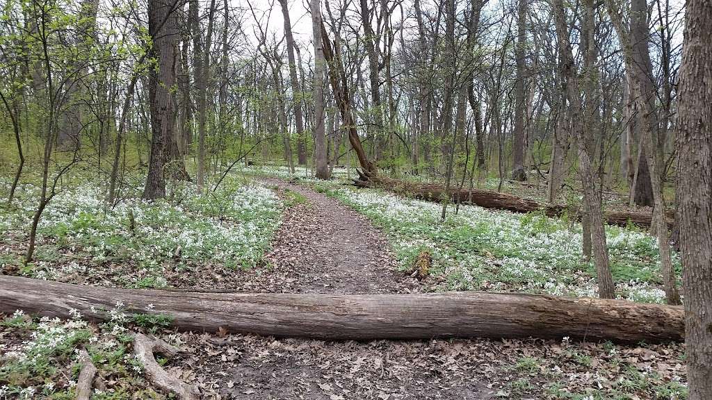 Aurora West Forest Preserve | Aurora, IL 60506, USA