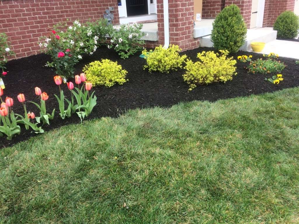 Greenland Landscape & Tree Service | 3543-3549 N Norfolk St, Indianapolis, IN 46224, USA | Phone: (317) 801-9782