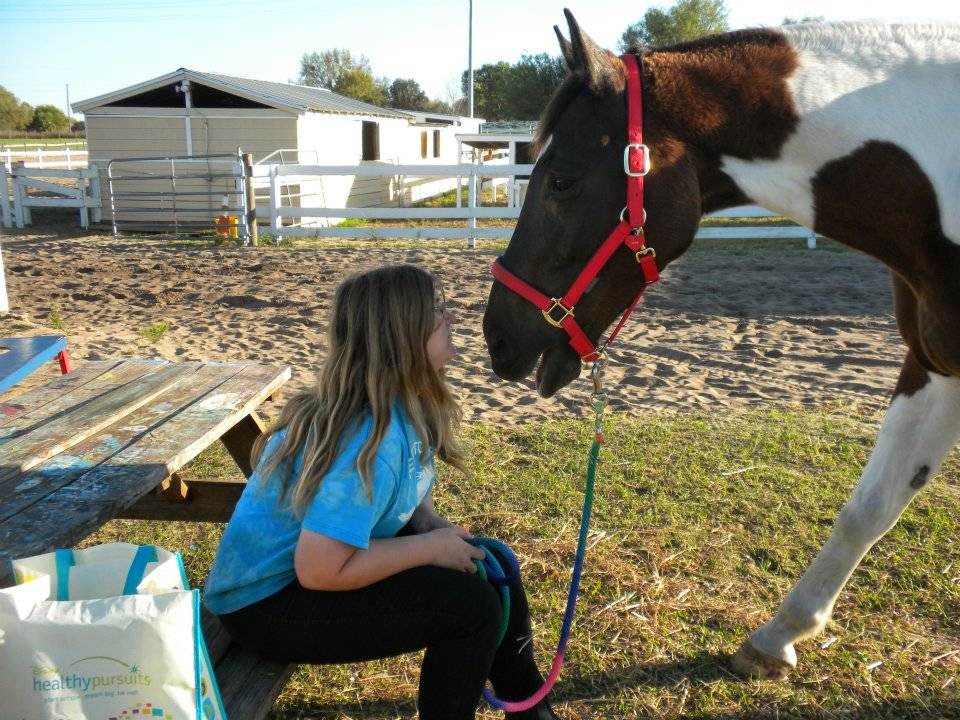 Dreamcatcher Horse Ranch and Rescue Center | 10639 Toad Rd, Clermont, FL 34715, USA | Phone: (407) 702-8332