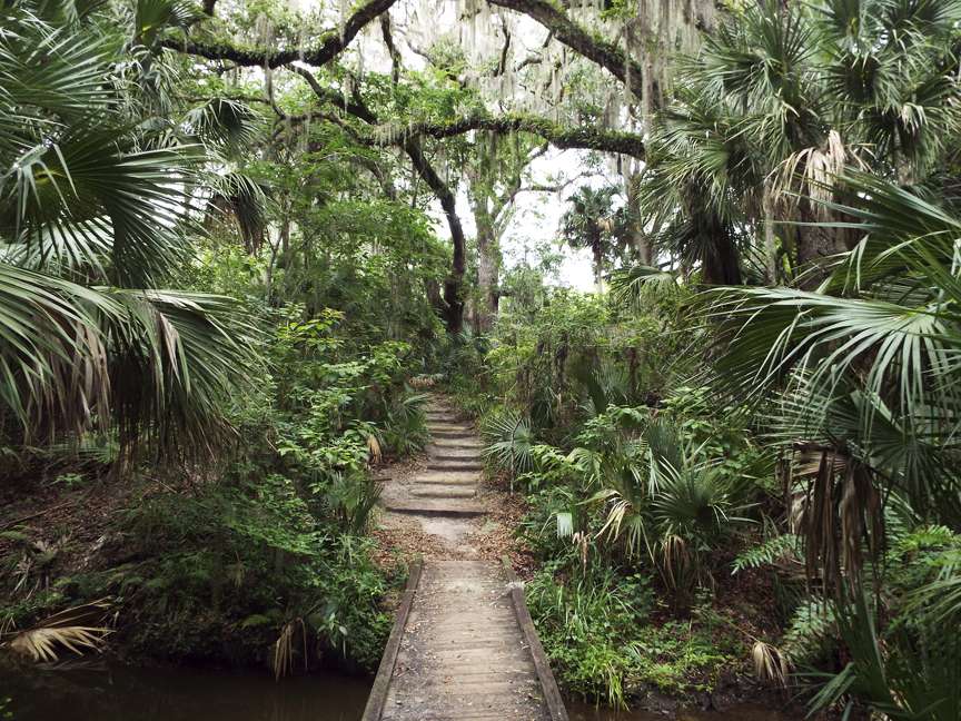 Brevard County Enchanted Forest Sanctuary | 444 Columbia Blvd, Titusville, FL 32780, USA | Phone: (321) 264-5185
