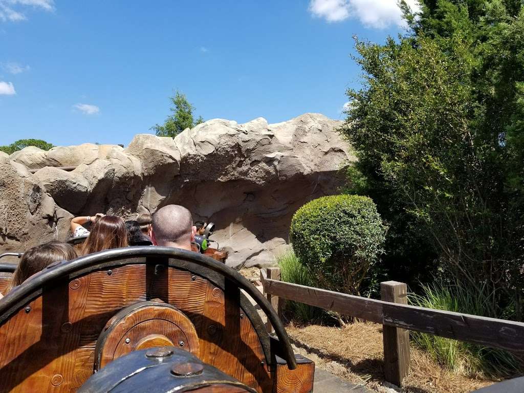 Big Thunder Mountain Railroad | Orlando, FL 32836, USA