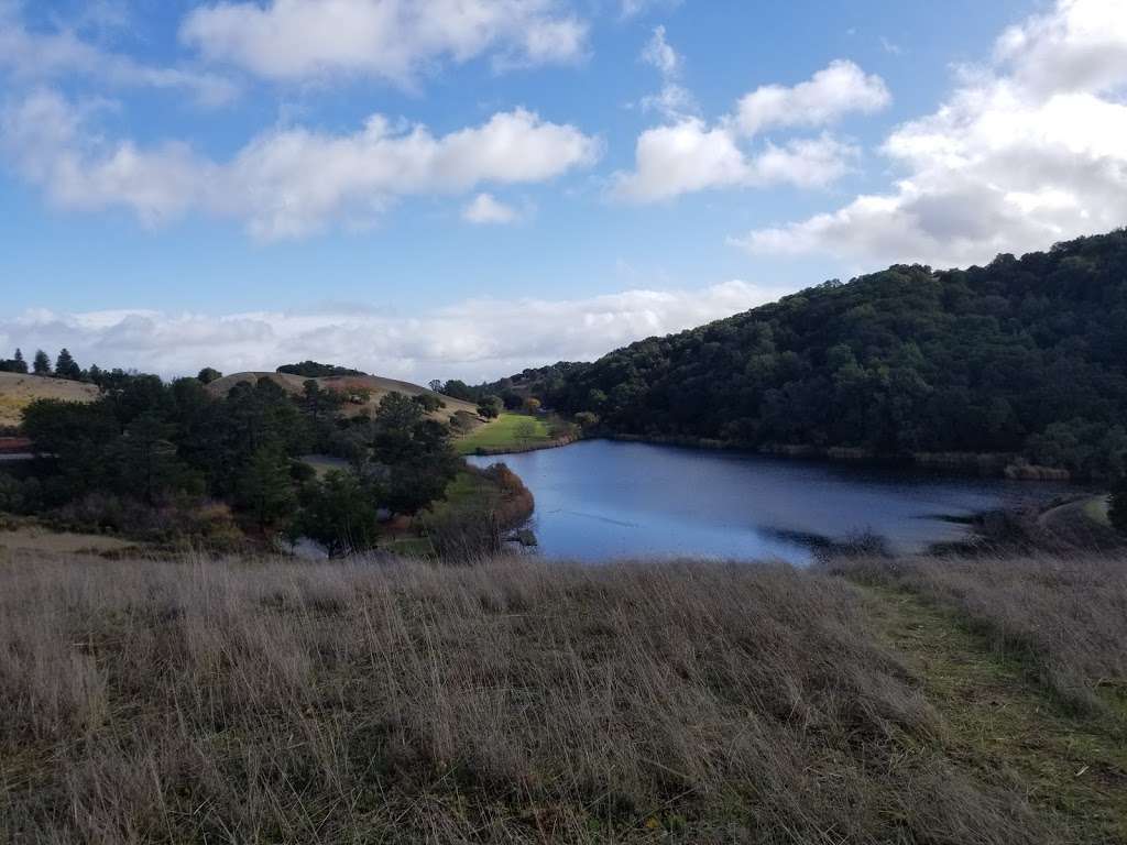 Foothills Park Nature Interpretive Center | 3300 Page Mill Rd, Palo Alto, CA 94304, USA | Phone: (650) 329-2423