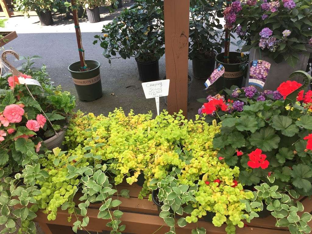 Reynolds Farms Nursery and Country Garden Center | 23 Richards Ave, Norwalk, CT 06854, USA | Phone: (203) 866-5757