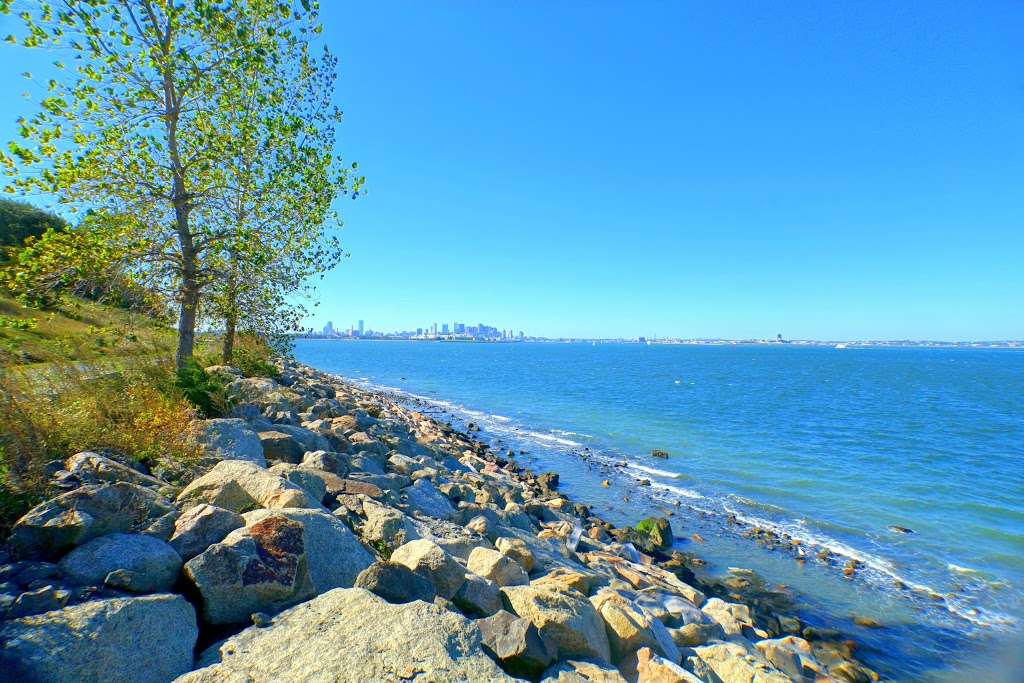 Spectacle Island | Boston, MA, USA
