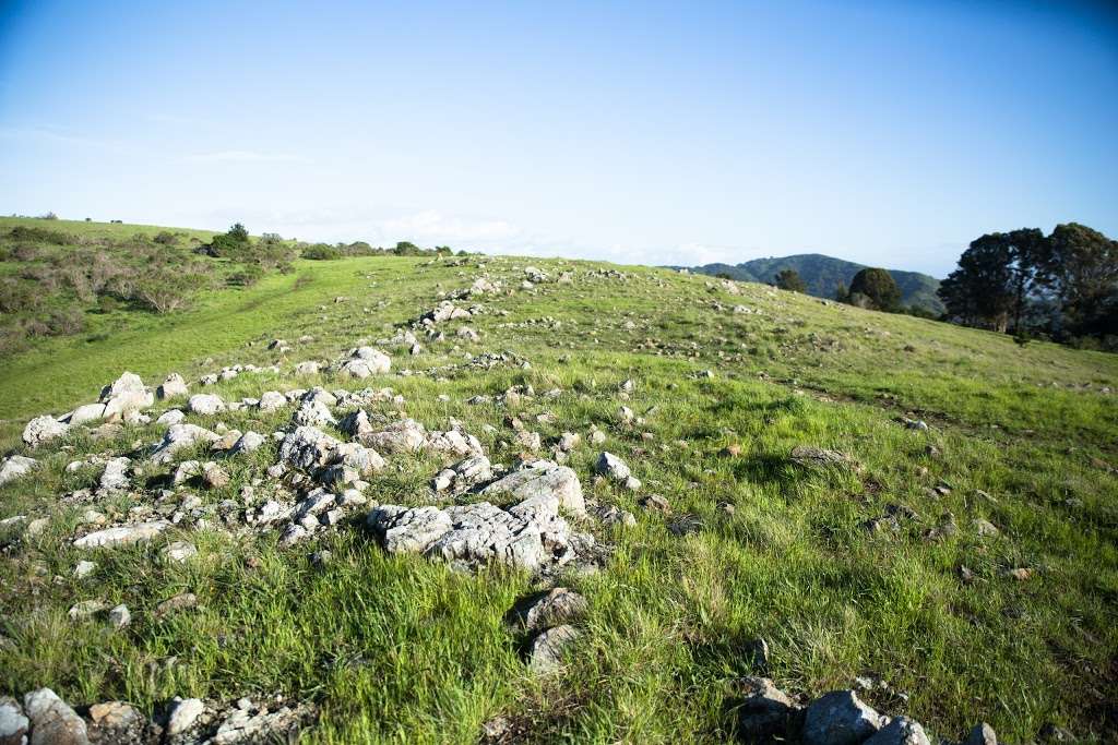 Old St. Hilarys Open Space Preserve | 2000 Vistazo St W, Belvedere Tiburon, CA 94920, USA | Phone: (415) 473-6387