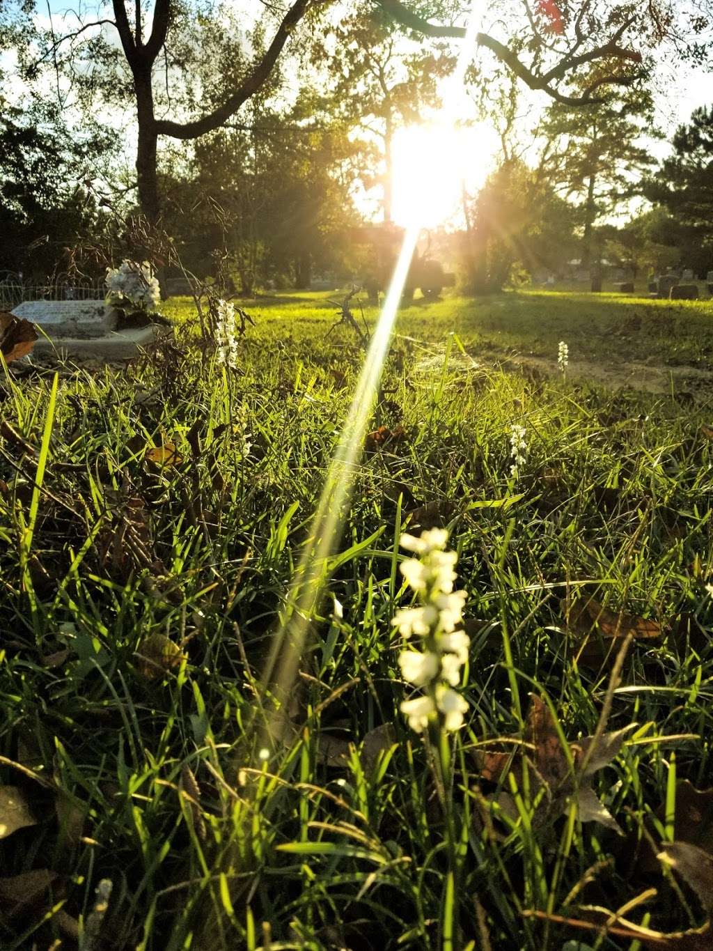 Rosewood Cemetery | Conroe, TX 77301, USA