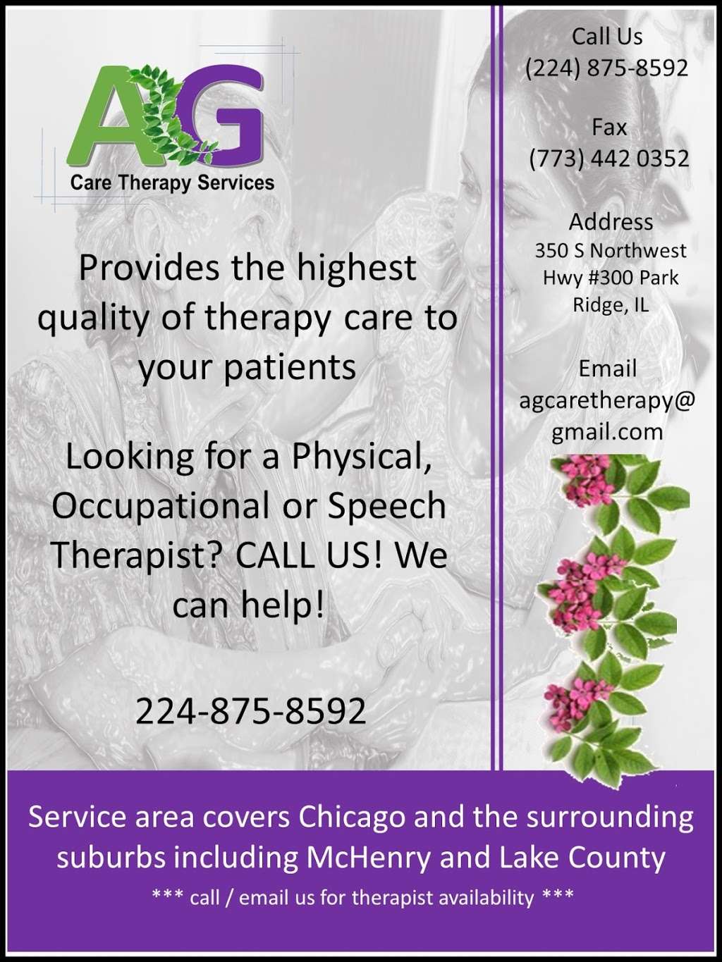 AG Care Therapy Services | 350 S NW Hwy #300, Park Ridge, IL 60068, USA | Phone: (773) 234-6366