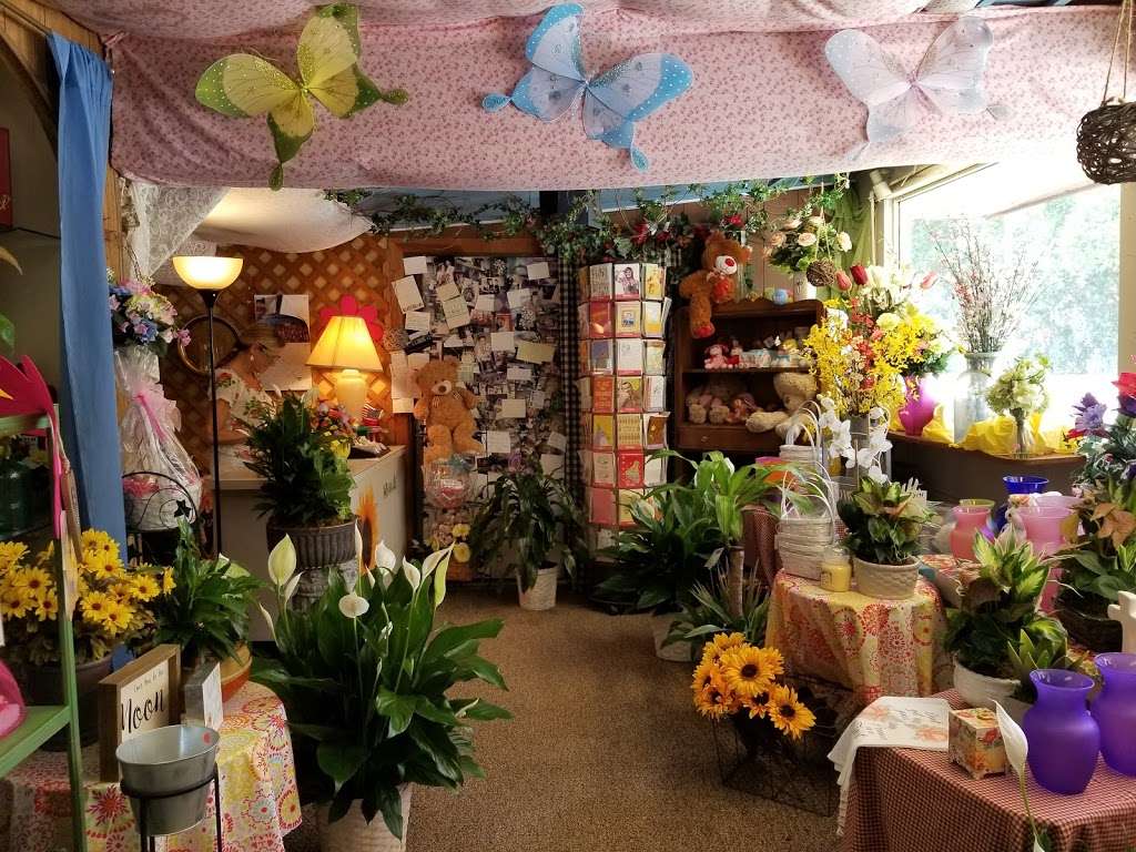 Bellevue Avenue Florist | 1300 Bellevue Ave, Daytona Beach, FL 32114 | Phone: (386) 255-7447