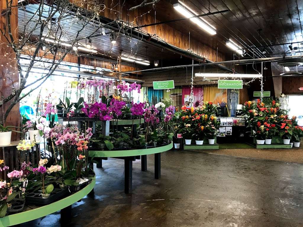 Mahoneys Garden Center | 242 Cambridge St, Winchester, MA 01890, USA | Phone: (781) 729-5900