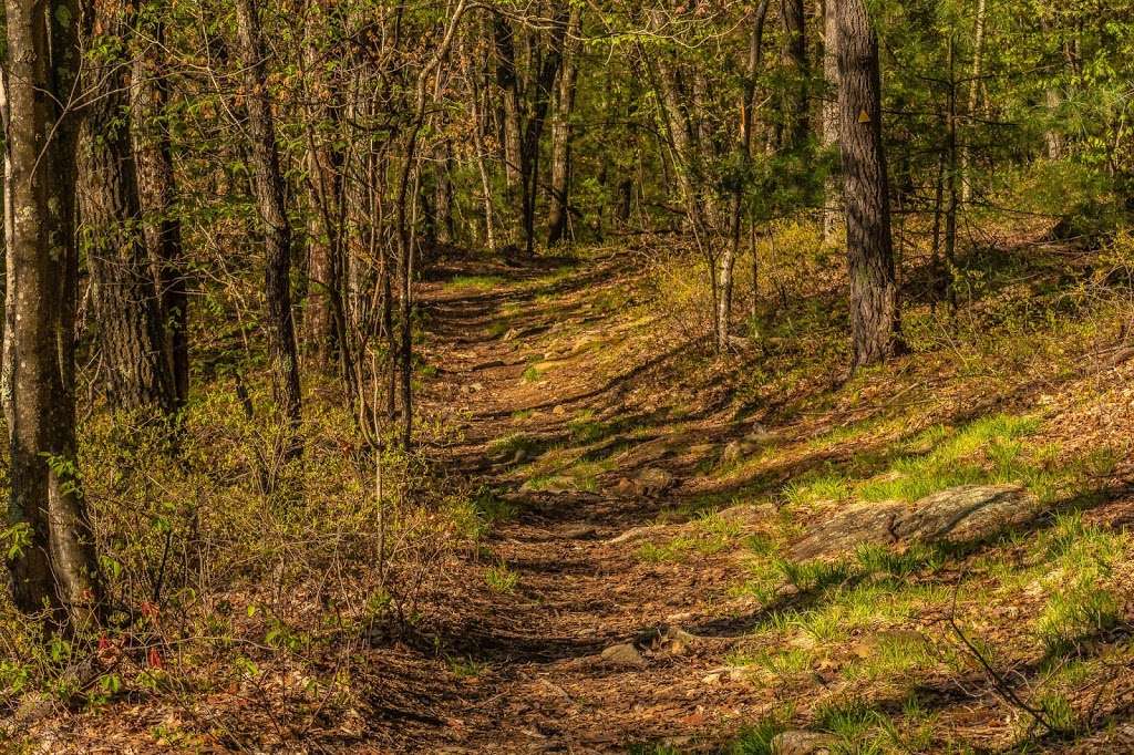 Southern outlook Mt Pisgah trail | 333 Howard St, Northborough, MA 01532, USA