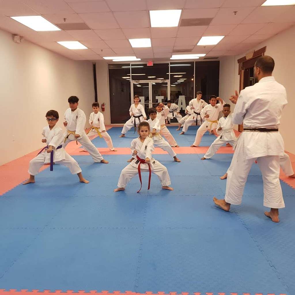 West Orange Karate | 632 S Dillard St, Winter Garden, FL 34787, USA | Phone: (407) 915-2576