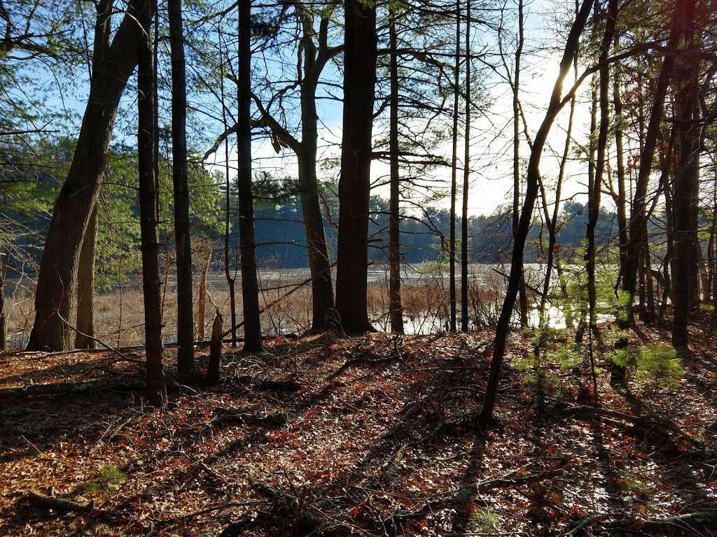 Nature Preserve | 31 Red Pine Way, Rowley, MA 01969