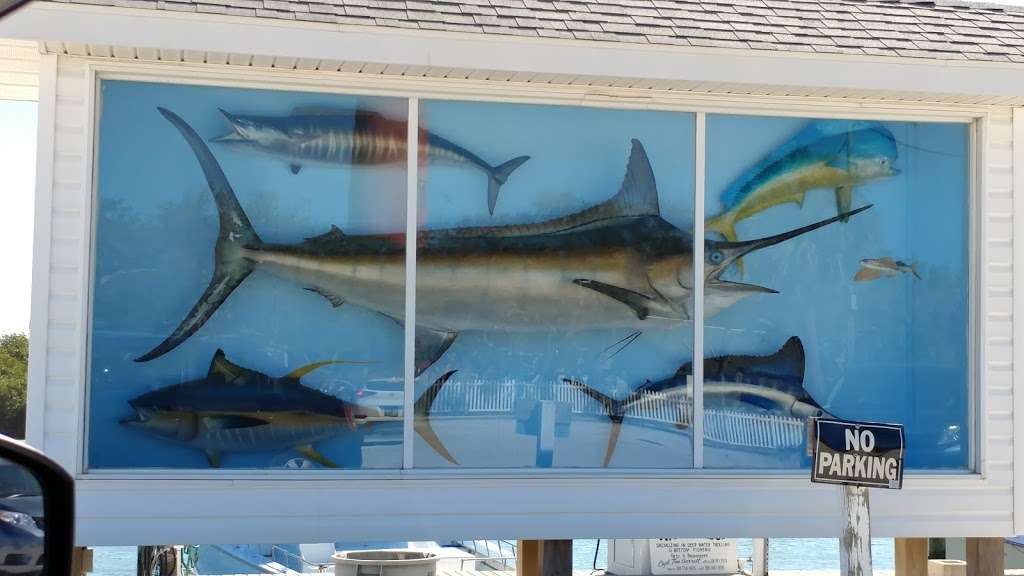 Sea Lover Sport Fishing | 4950 S Peninsula Dr, Port Orange, FL 32127, USA | Phone: (386) 547-1551