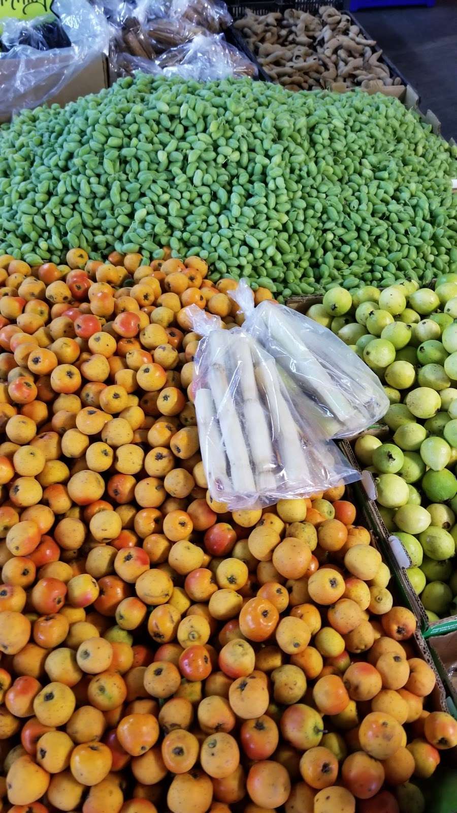 FRUTERIA: EL KOKO LOKO Verduras Y Vejetales | 27668 FM 1485, New Caney, TX 77357, USA | Phone: (832) 970-4072