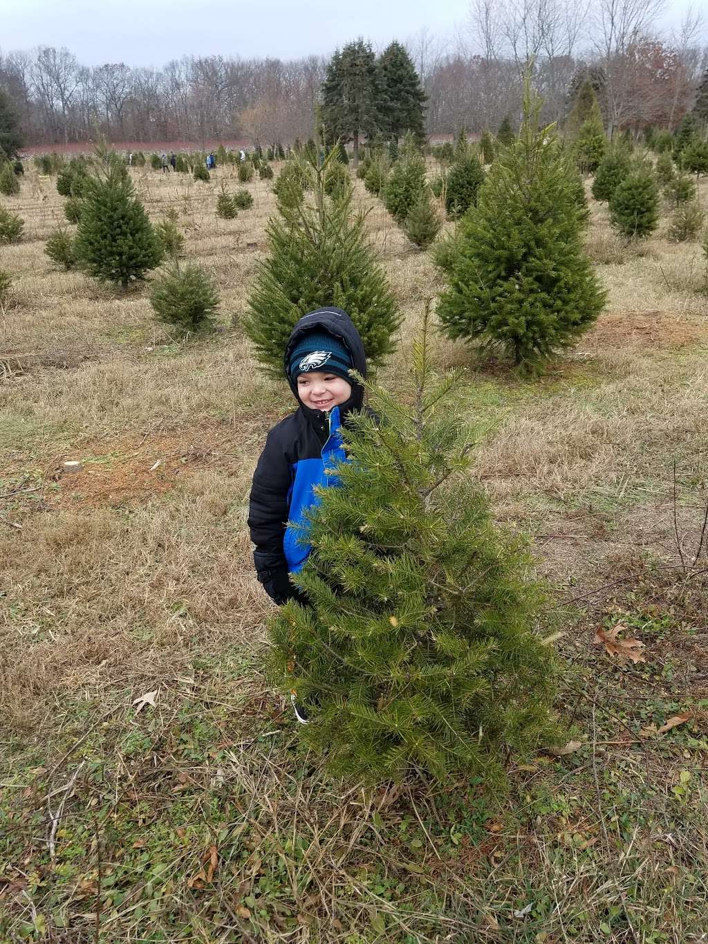 Belly Acres Christmas Tree Farm | 665 Royal Ave, Franklinville, NJ 08322, USA | Phone: (856) 694-0350
