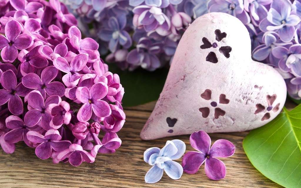 Lilac & Willow Flowers | Battlers Green Farm, Common Ln, Radlett WD7 8PH, UK | Phone: 01923 635522