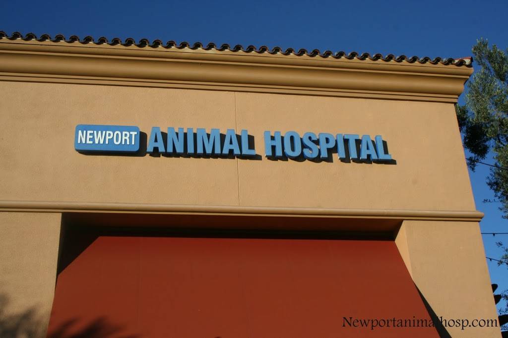 Newport Animal Hospital | 21157 Newport Coast Dr, Newport Beach, CA 92657, USA | Phone: (949) 706-8380