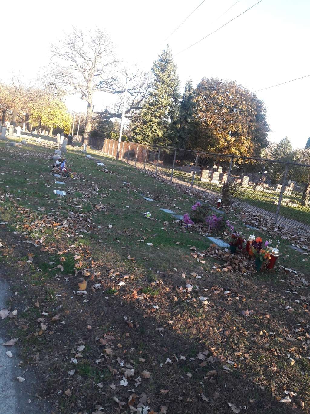 St Luke Cemetery | 5300 N Pulaski Rd, Chicago, IL 60630, USA | Phone: (773) 588-0049