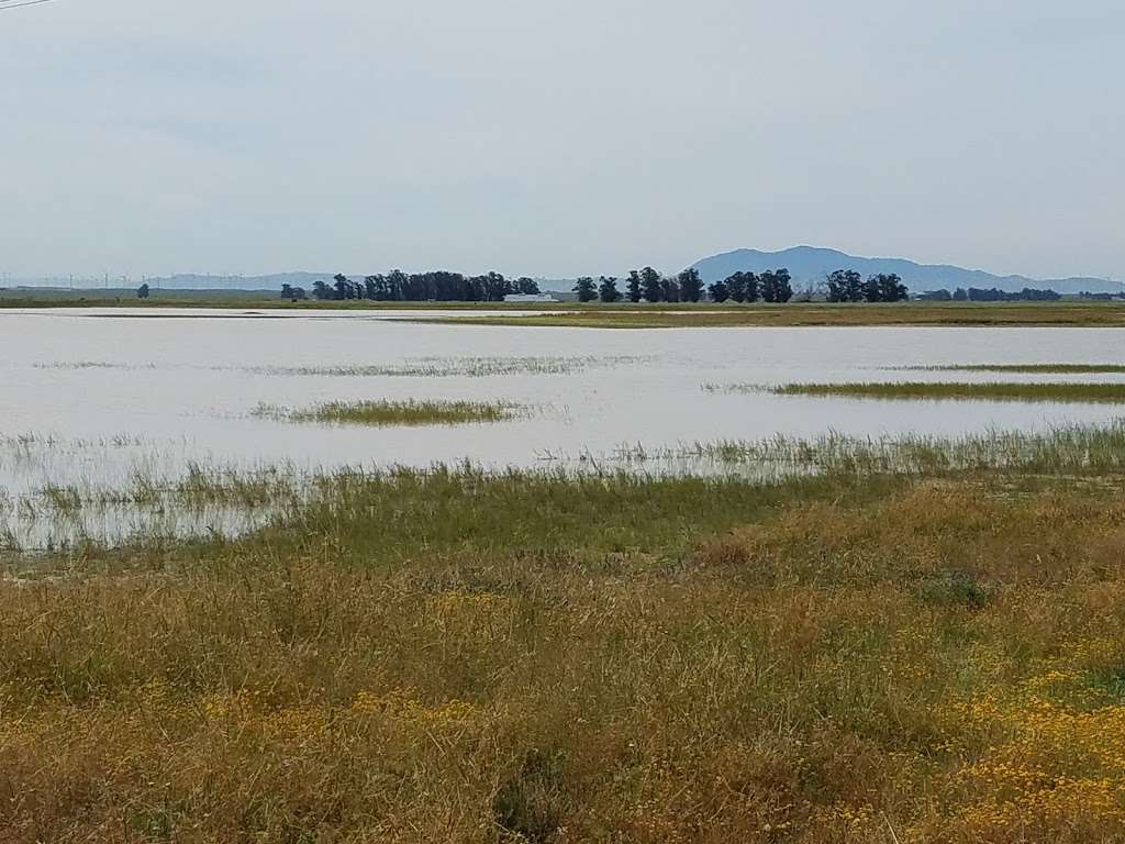 Jepson Prairie Preserve | 4845 Cook Ln, Dixon, CA 95620, USA