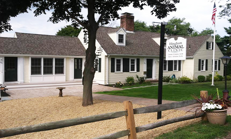 Hingham Animal Clinic | 146 Chief Justice Cushing Hwy, Hingham, MA 02043 | Phone: (781) 749-1243