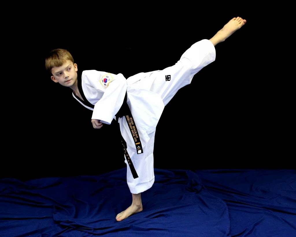 Double Dragon Martial Arts Center | 12111 Louetta Rd, Houston, TX 77070, USA | Phone: (281) 251-0190