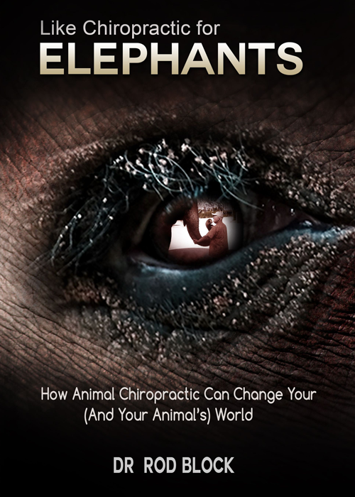 Southern Ca Equine-Canine Chiropractic: Block Rod DC | 1 Gold Bluff #2833, Irvine, CA 92604, USA | Phone: (949) 400-5100