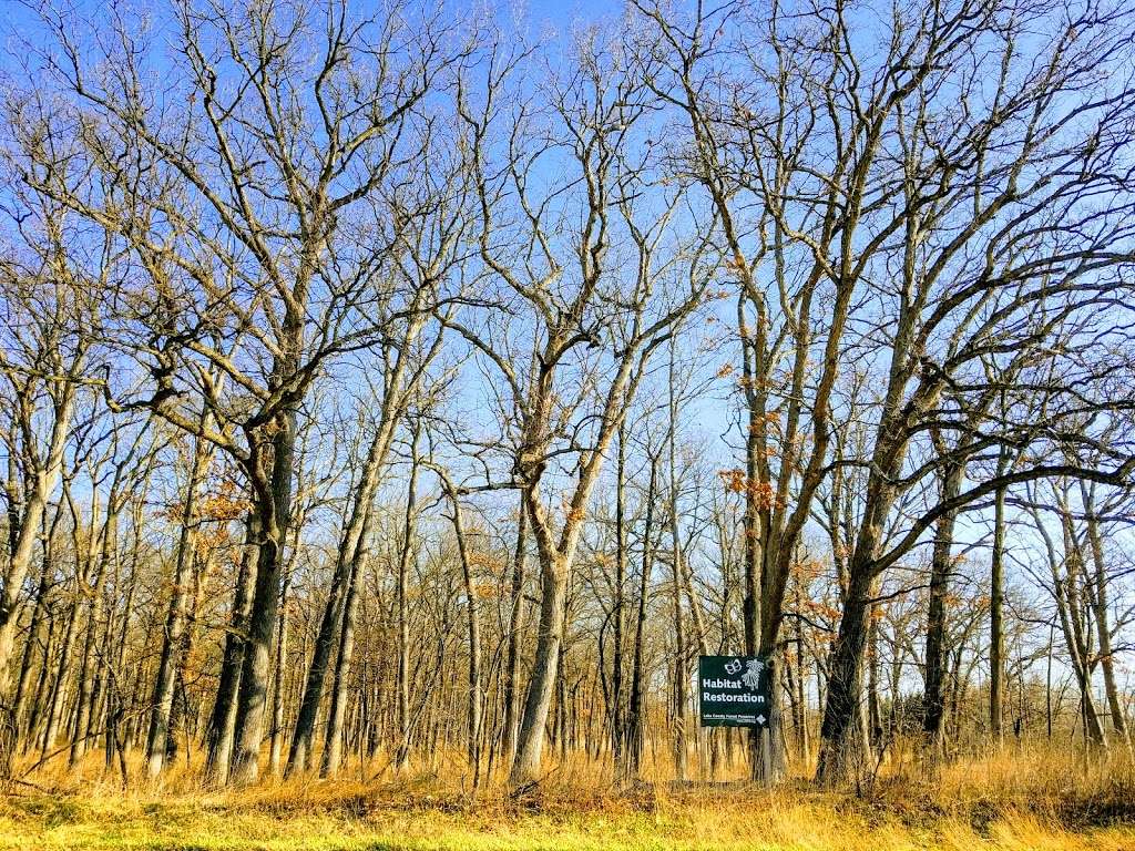 MacArthur Woods Forest Preserve | 26225 N Riverwoods Blvd, Mettawa, IL 60045, USA | Phone: (847) 573-1460