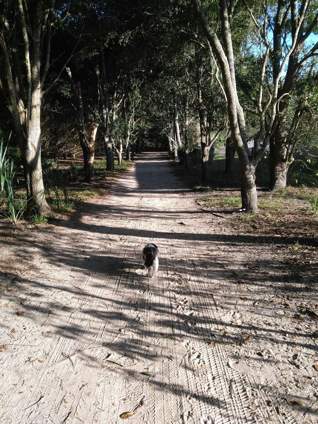 Mulberry Dog Park | 17220 SE 176th Lakeford Ln, Ocklawaha, FL 32179