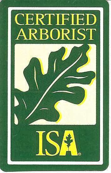Arbor Experts | 1666 Farringdon Dr, San Jose, CA 95127, USA | Phone: (408) 254-7757