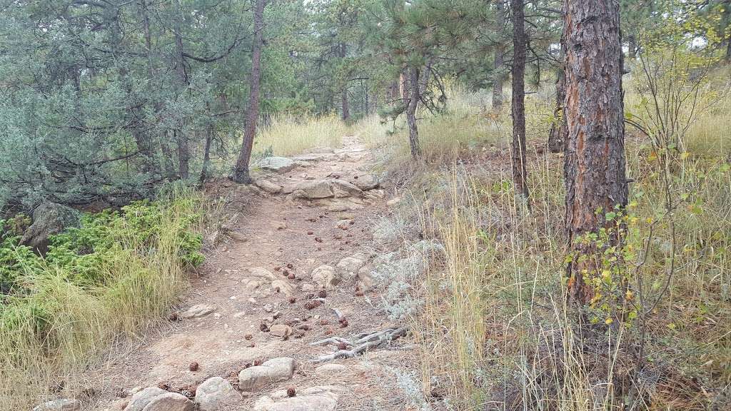 Lion Gulch Trailhead (#949) | N St Vrain Dr, Lyons, CO 80540, USA