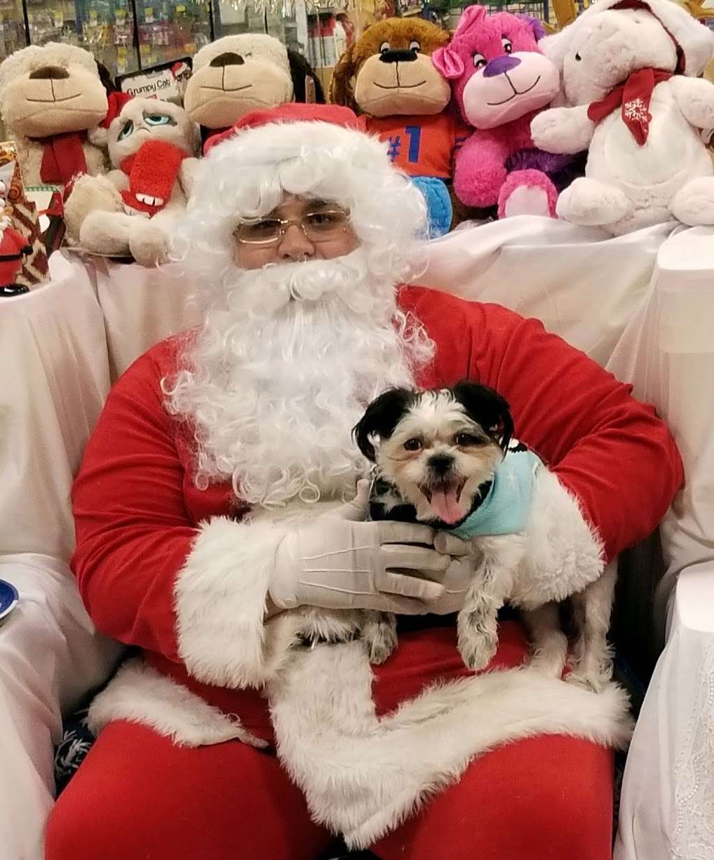 PetSmart 1900 W International Speedway Blvd, Daytona Beach, FL 32114