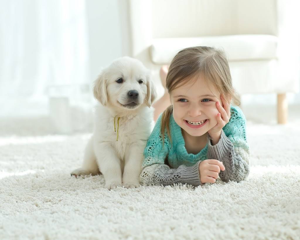 Safe-Dry Carpet Cleaning of Chelsea | 6017 Co Rd 39, Chelsea, AL 35043, USA | Phone: (205) 656-3579