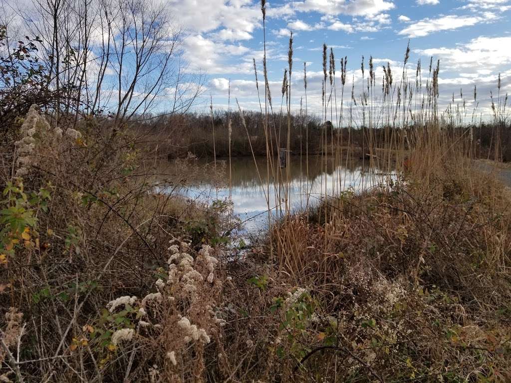 Piedmont Prairie Trail - McDowell Nature Preserve | 12600 4 Horse Rd, Charlotte, NC 28278, USA | Phone: (980) 314-1128