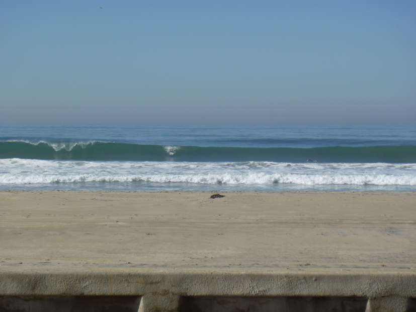 Bill Luther Vacation Rentals | 3685 Ocean Front Walk, San Diego, CA 92109, USA | Phone: (858) 488-1580