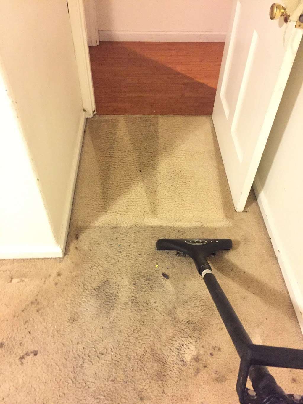 Valencia Carpet Cleaning | 25346 Bunker Hill Ct, Hayward, CA 94542, USA | Phone: (510) 600-4346
