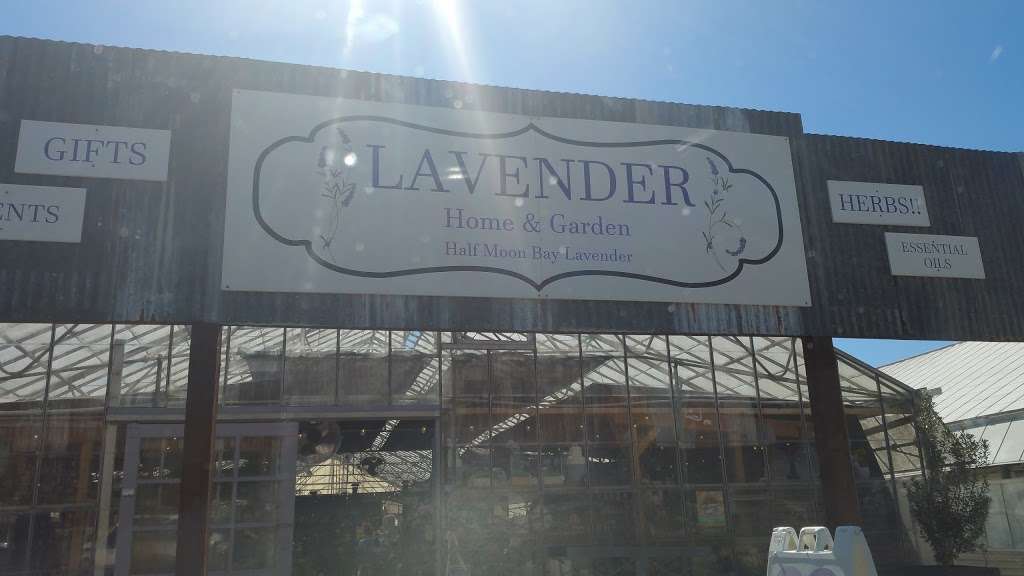 Halfmoon Bay Lavender | 12511 San Mateo Rd, Half Moon Bay, CA 94019 | Phone: (650) 704-6400