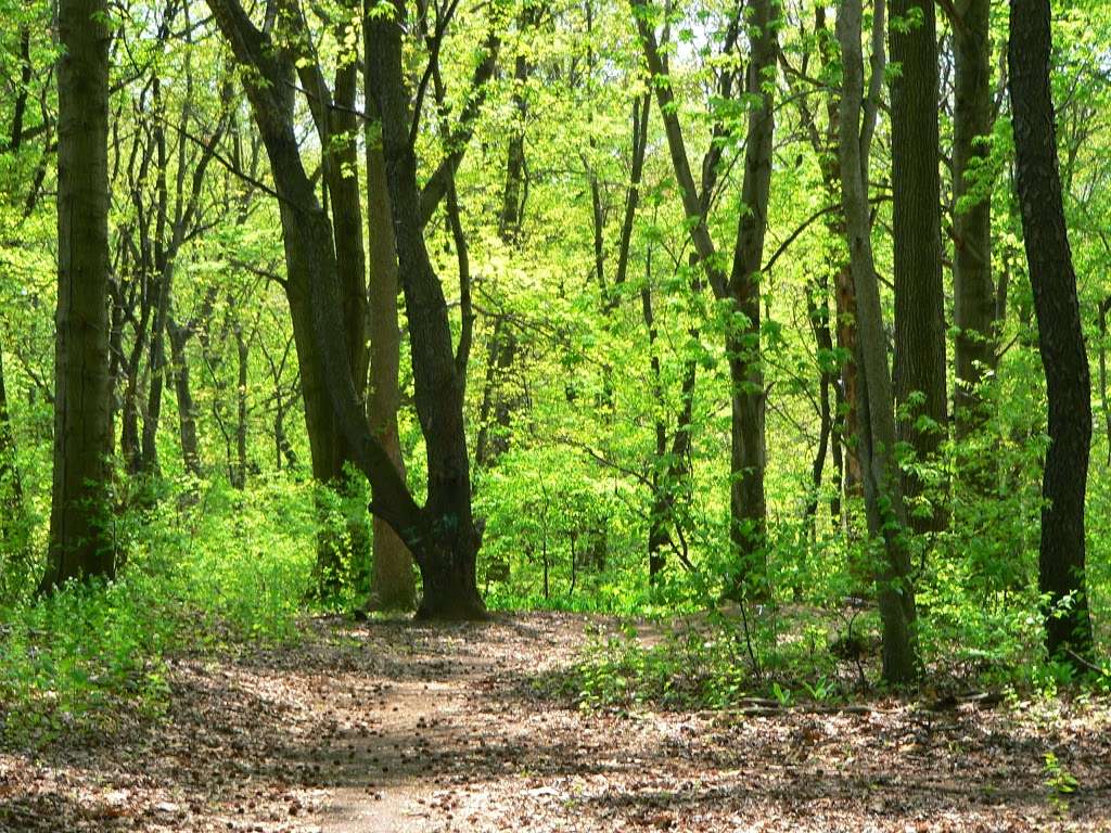 Greenbrook Nature Sanctuary | Green Brook Rd, Tenafly, NJ 07670, USA | Phone: (201) 784-0484