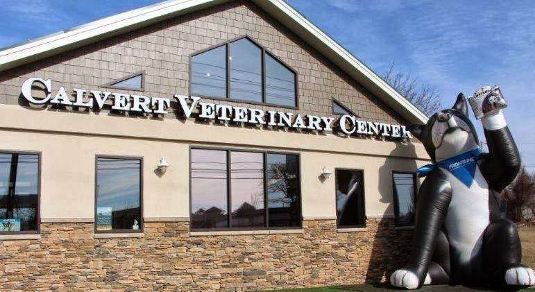 Calvert Veterinary Center | 4100 Mountain Rd Suite C, Pasadena, MD 21122 | Phone: (410) 360-7297