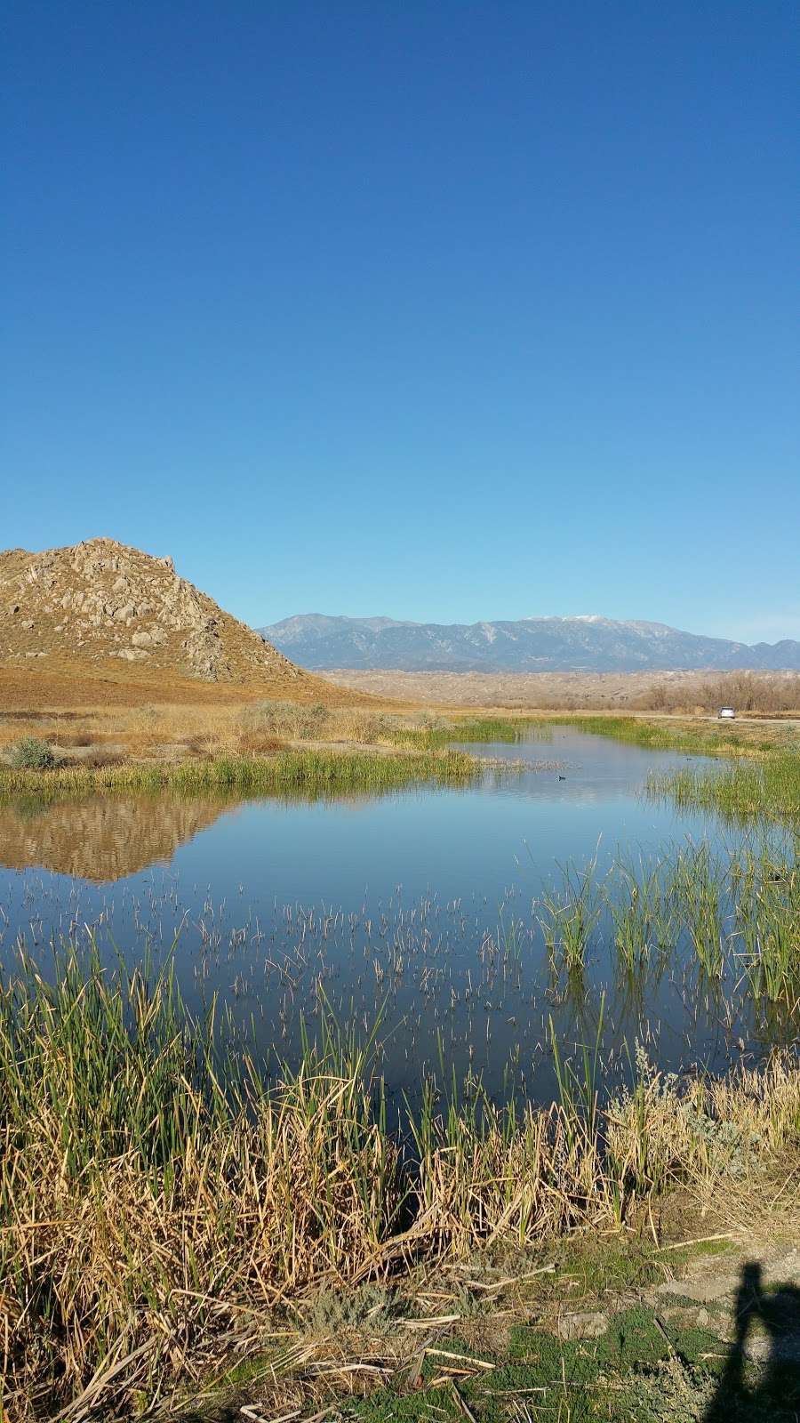 San Jacinto Wildlife Area | W Contour Rd, Nuevo, CA 92567, USA