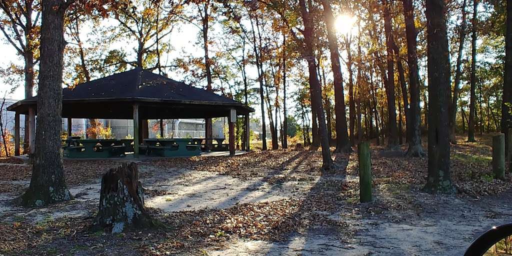 Chambers Park in 223 Kinder St, Federalsburg, MD 21632, USA