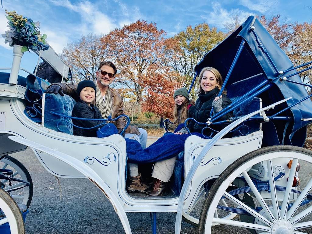 NYC Horse carriage services | 200 Central Park south West drive, entrance on, 7th Ave, New York, NY 10019, USA | Phone: (800) 813-0705