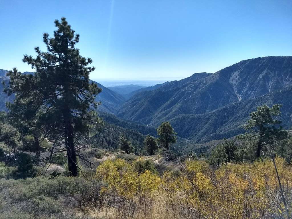 Blue Ridge Trail | Wrightwood, CA 92397, USA