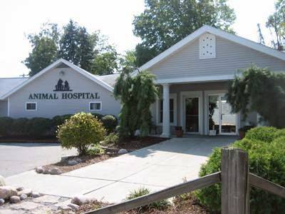 Eastgate Animal Hospital | 459 Cincinnati-Batavia Pike, Cincinnati, OH 45244 | Phone: (513) 528-0700
