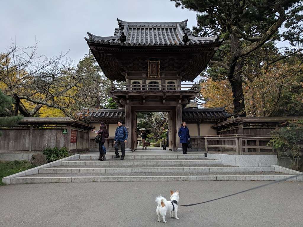 Japanese Tea Garden | San Francisco, CA 94118