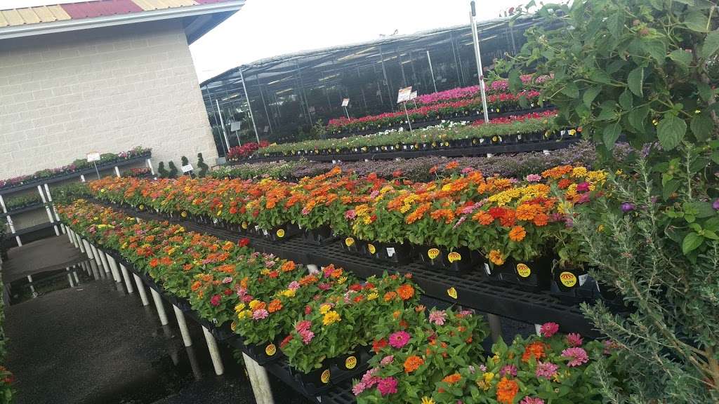 Houston Garden Centers | 20050 Gulf Fwy, Webster, TX 77598 | Phone: (281) 557-7399