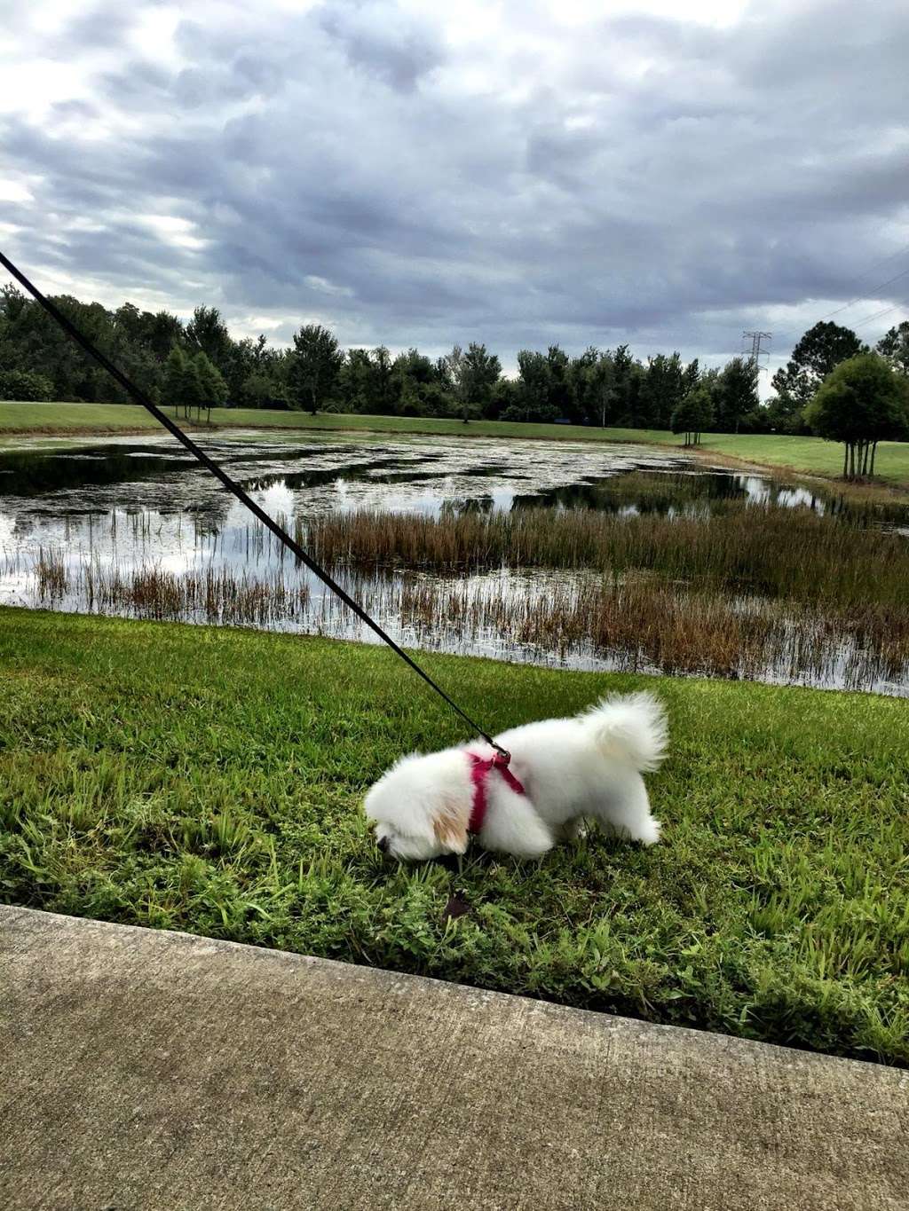 Dog Park | USA, 1651 Rhode Island Woods Cir, Orlando, FL 32824