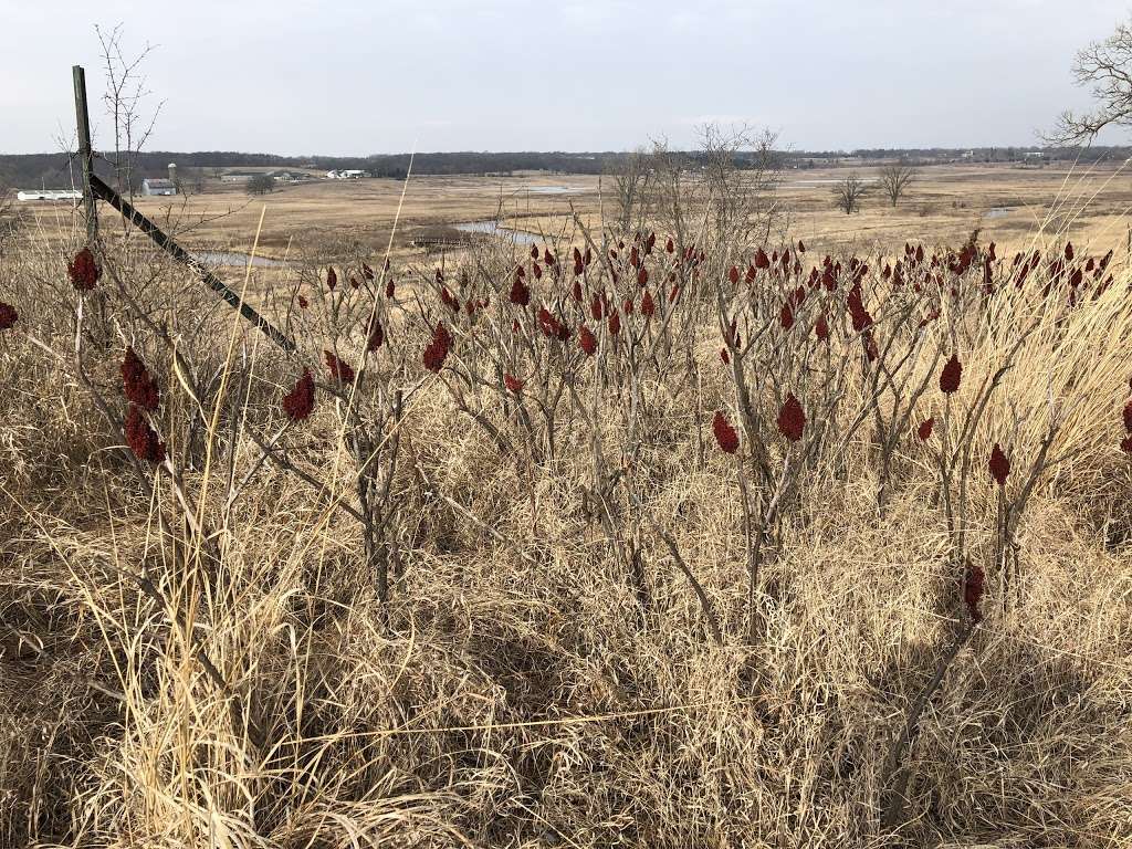 Glacial Park Conservation Area | 6705 State Rte 31, Ringwood, IL 60072, USA | Phone: (815) 678-4532