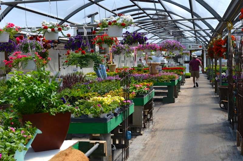 Sunny Garden Greenhouses | 2238 NY-9D, Wappingers Falls, NY 12590, USA | Phone: (845) 297-4400