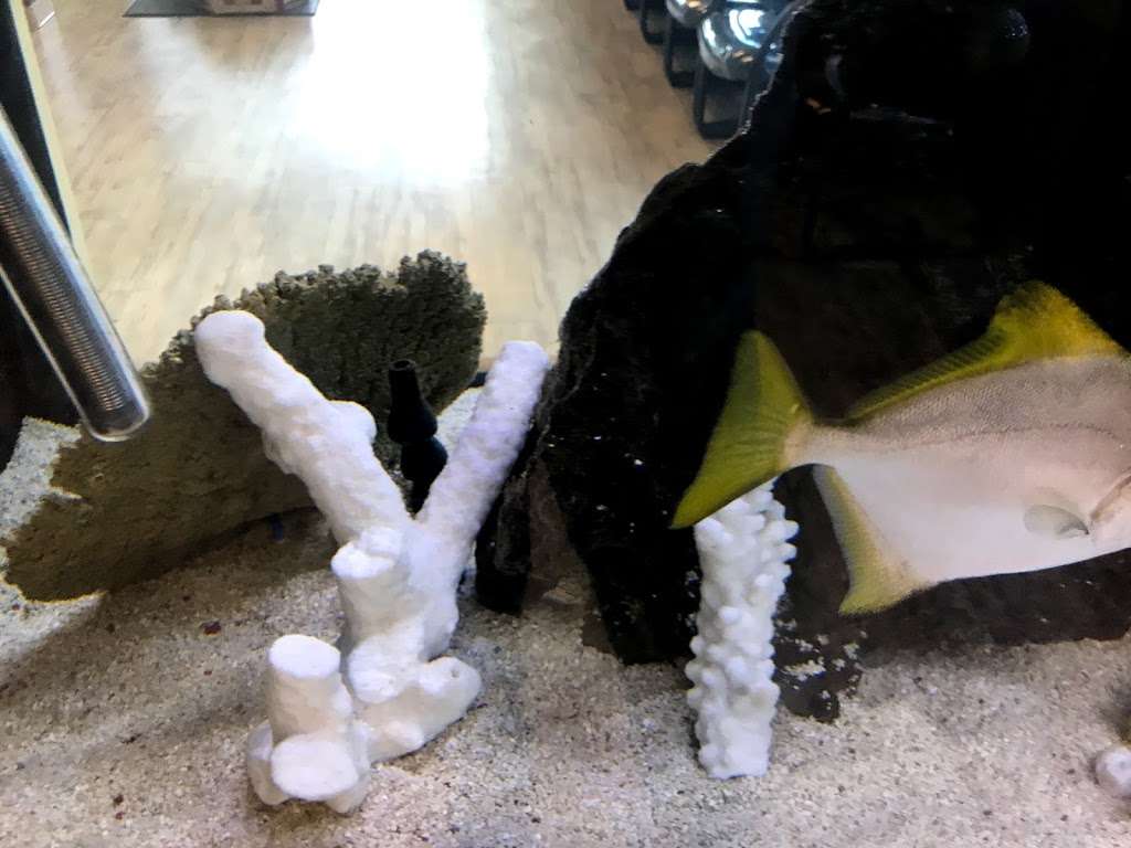 Dr. Ronald Jones | 961 N McQueen Rd, Chandler, AZ 85225, USA | Phone: (480) 222-8080